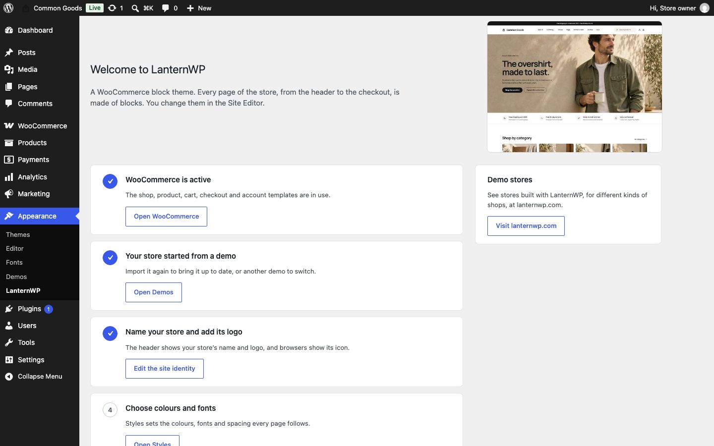 Appearance → LanternWP with its first steps ticked off